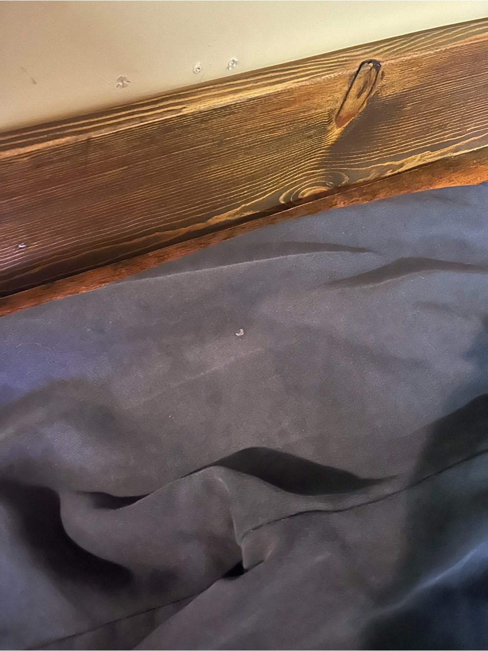 Nike joggers - Picture 10 of 10